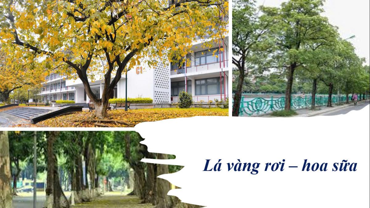 A collage of trees and buildingsDescription automatically generated