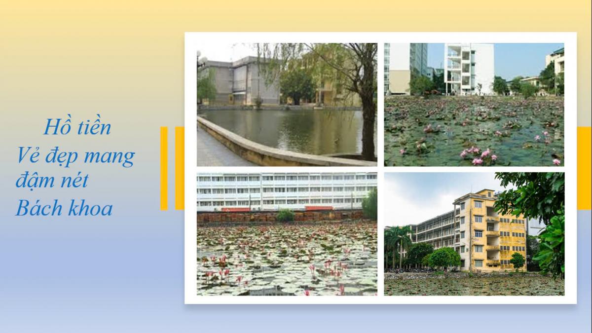 A collage of buildings and waterDescription automatically generated