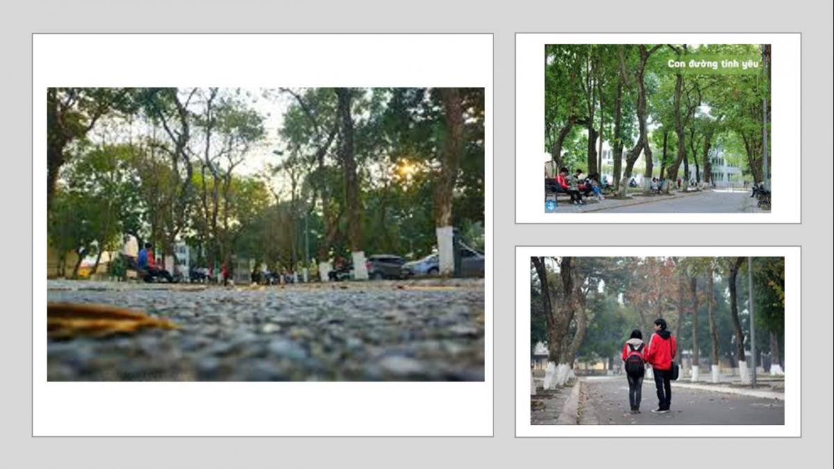 A collage of images of people walking in a parkDescription automatically generated
